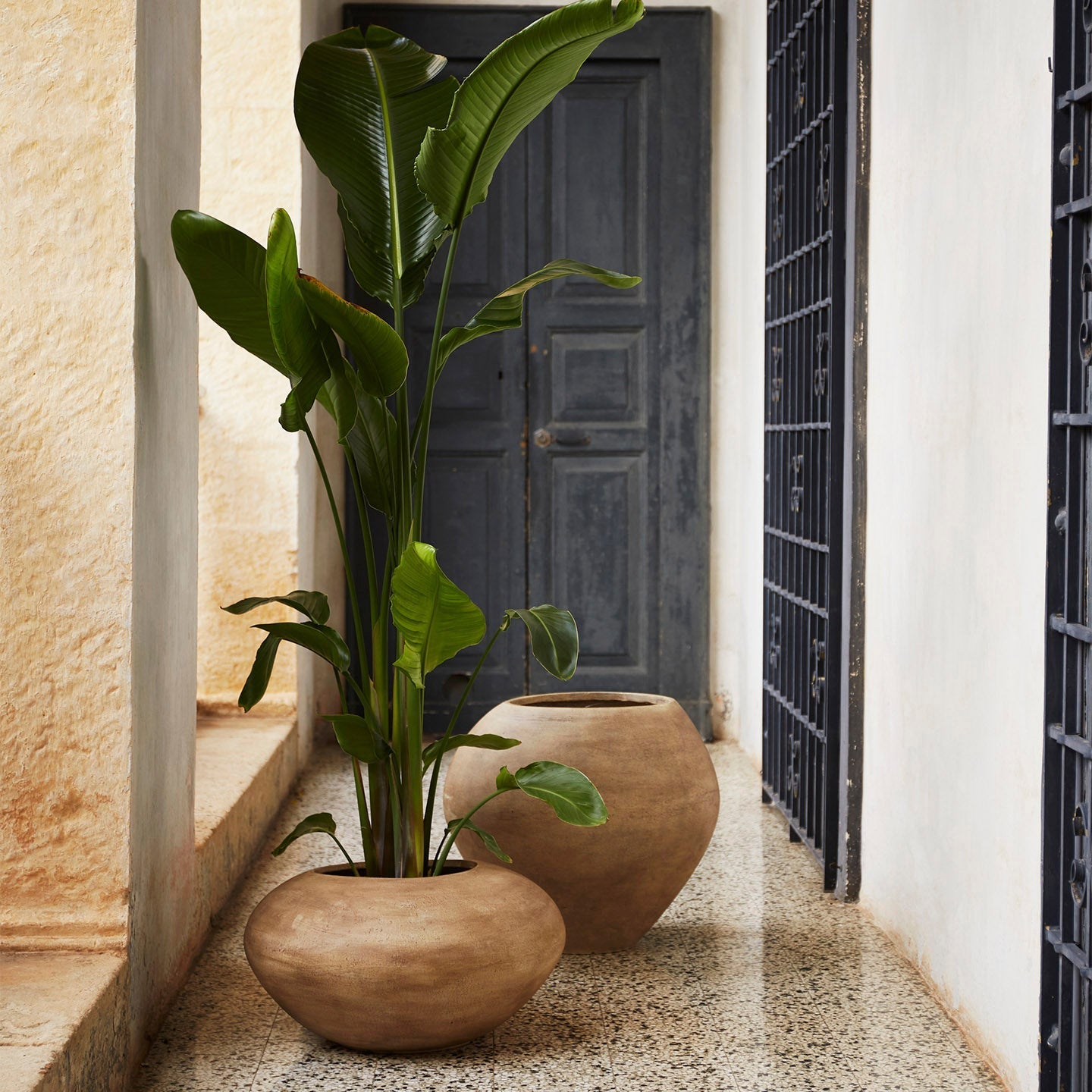 Dodu Pot - Brown