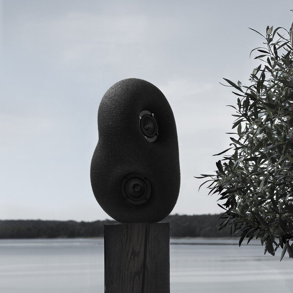 Acoustic Sculpture