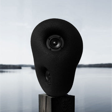 Acoustic Sculpture