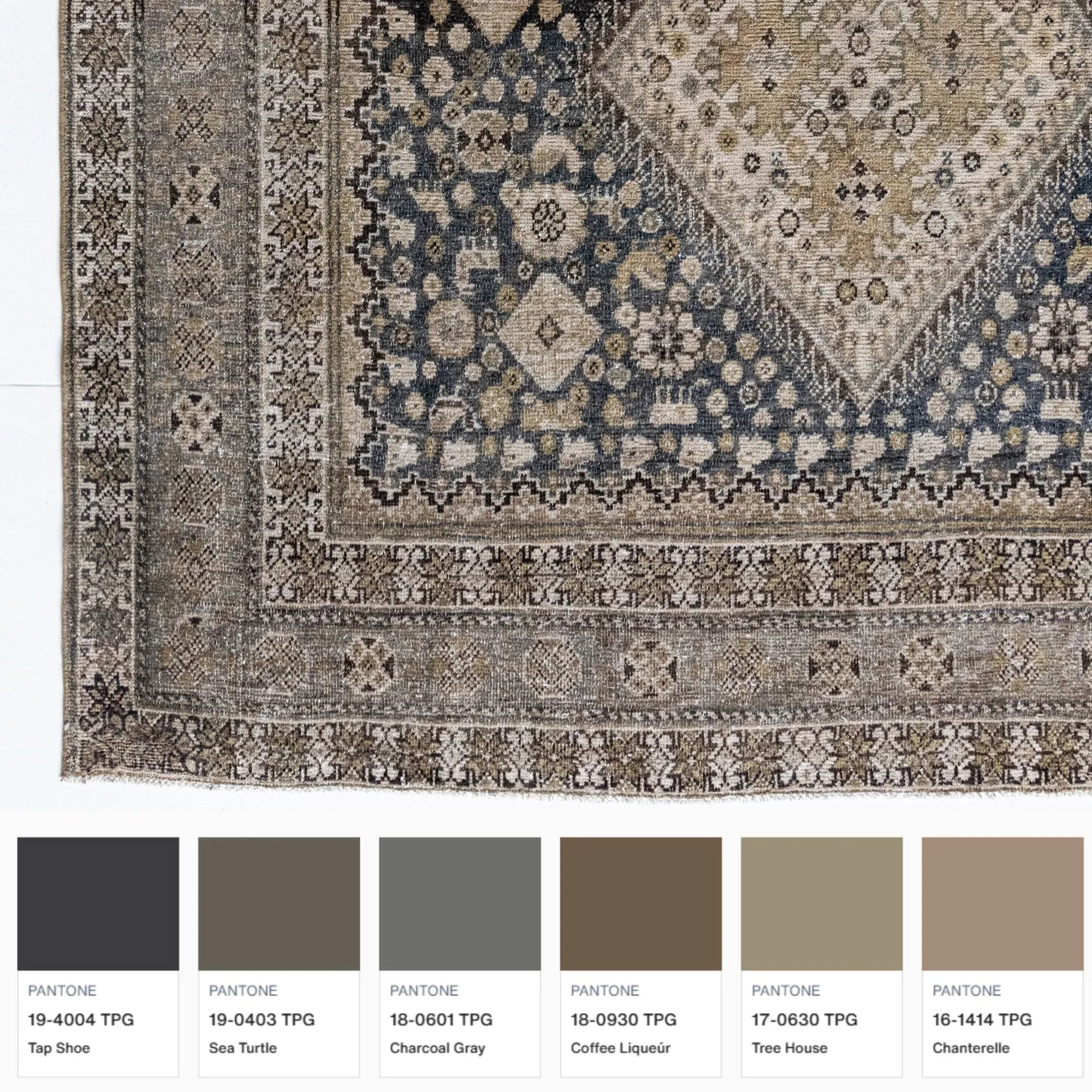 Archer Rug