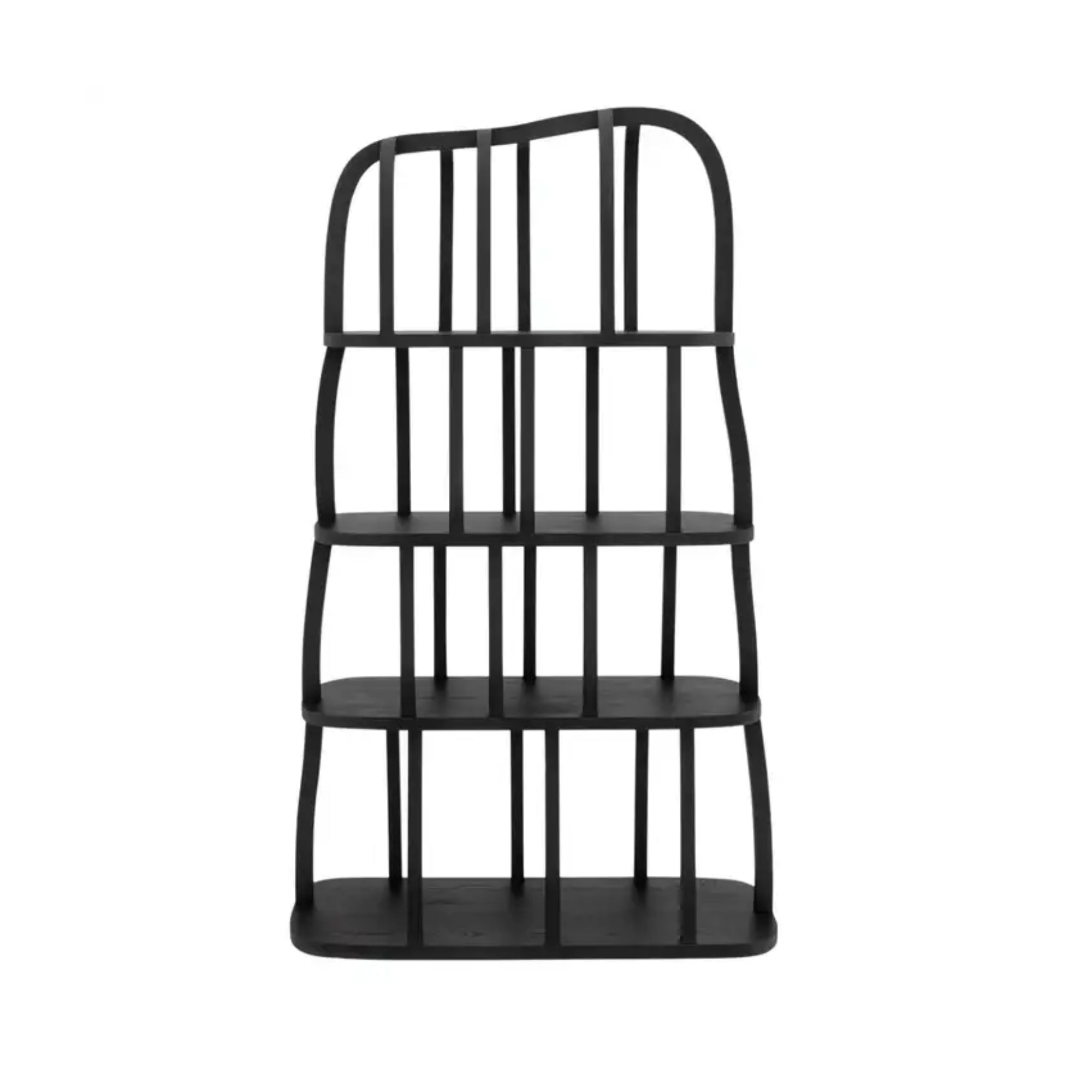 Ariana Bookshelf