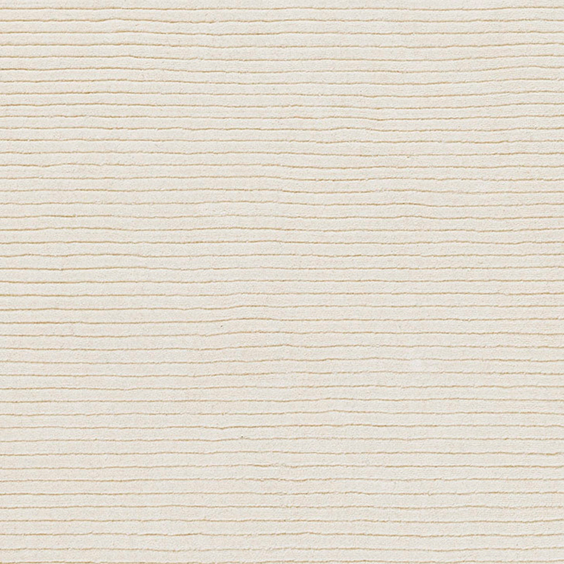 Asher-1 White Rug
