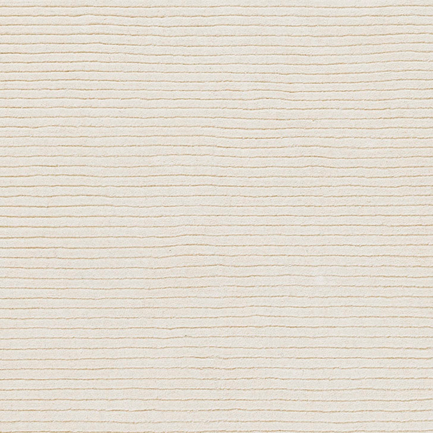 Asher-1 White Rug