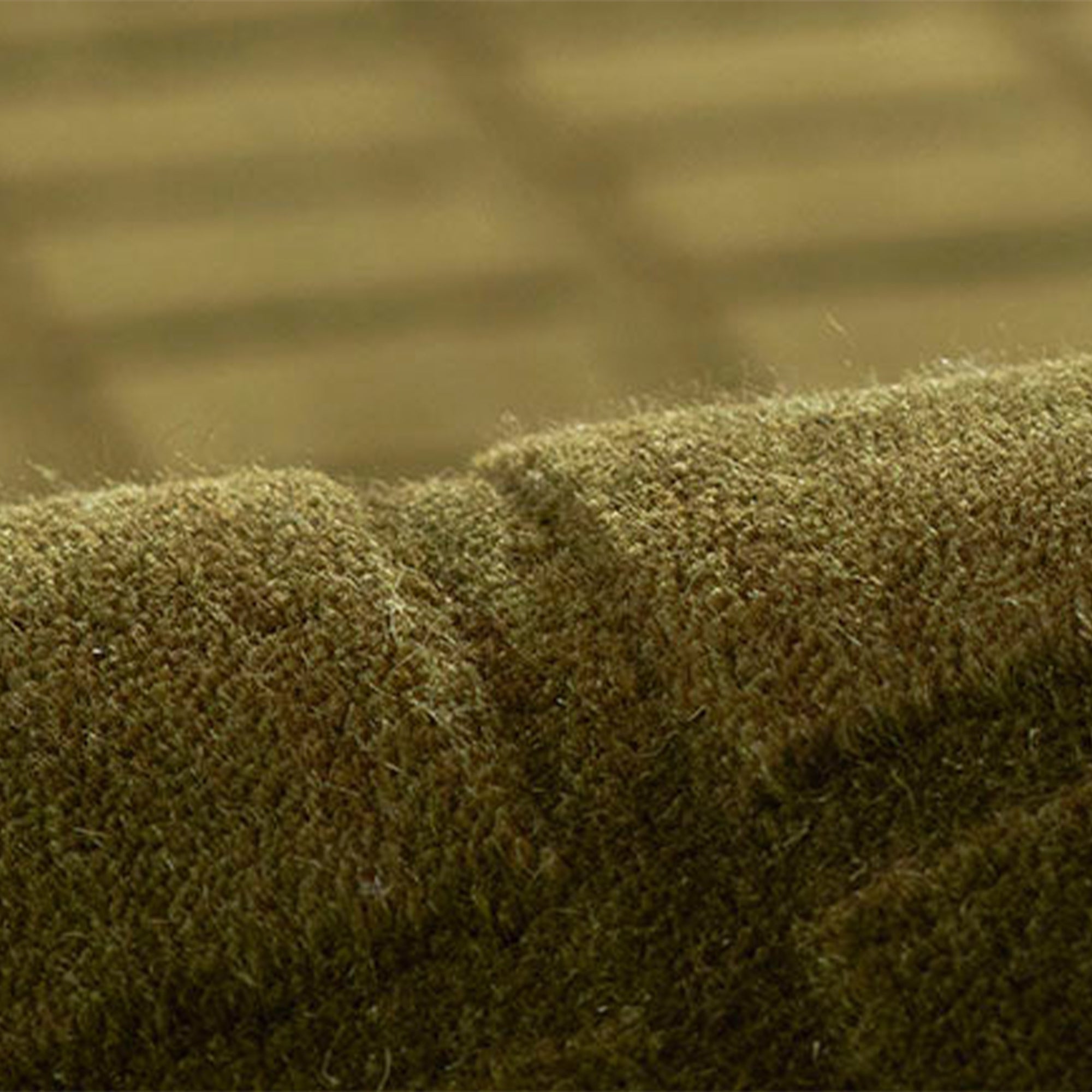 Contour-1 Green Rug