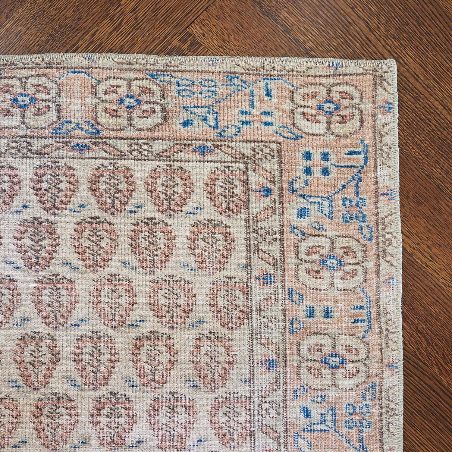 Dorset-2 Blush Rug