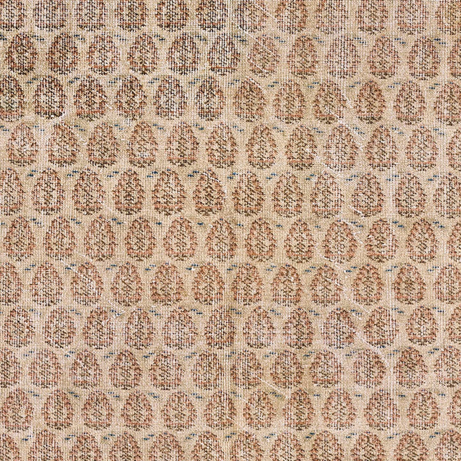 Dorset-2 Blush Rug