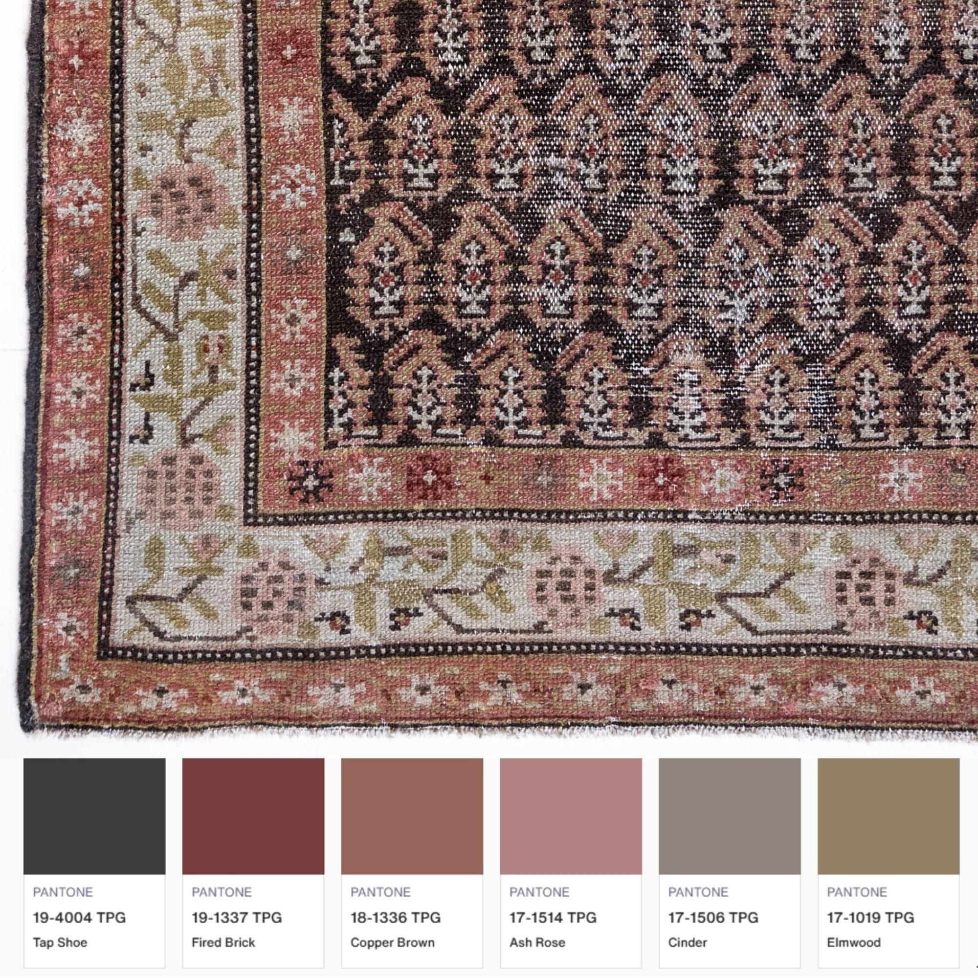 Finley Rug