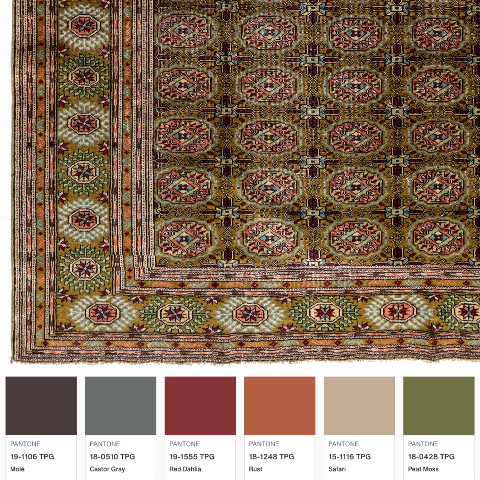 Ipasha Rug