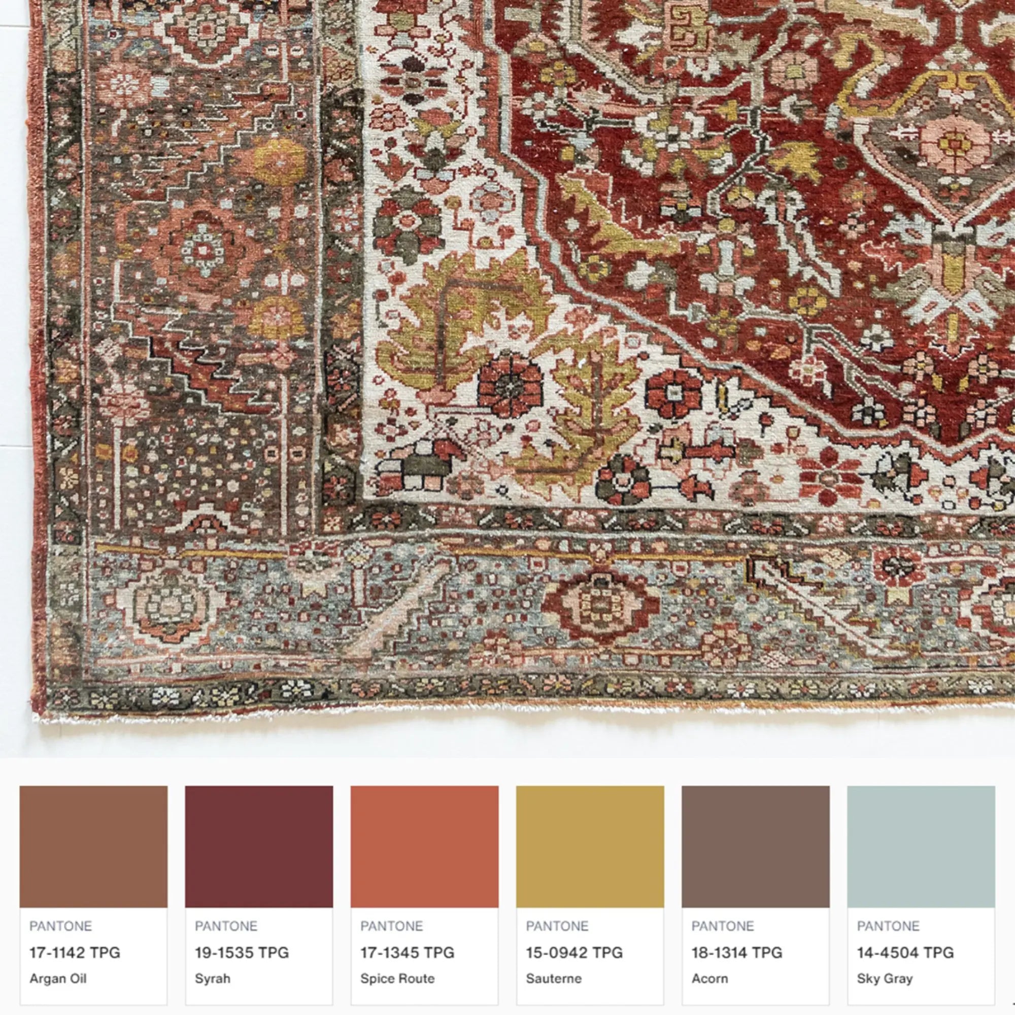Rialto Area Rug - Vintage
