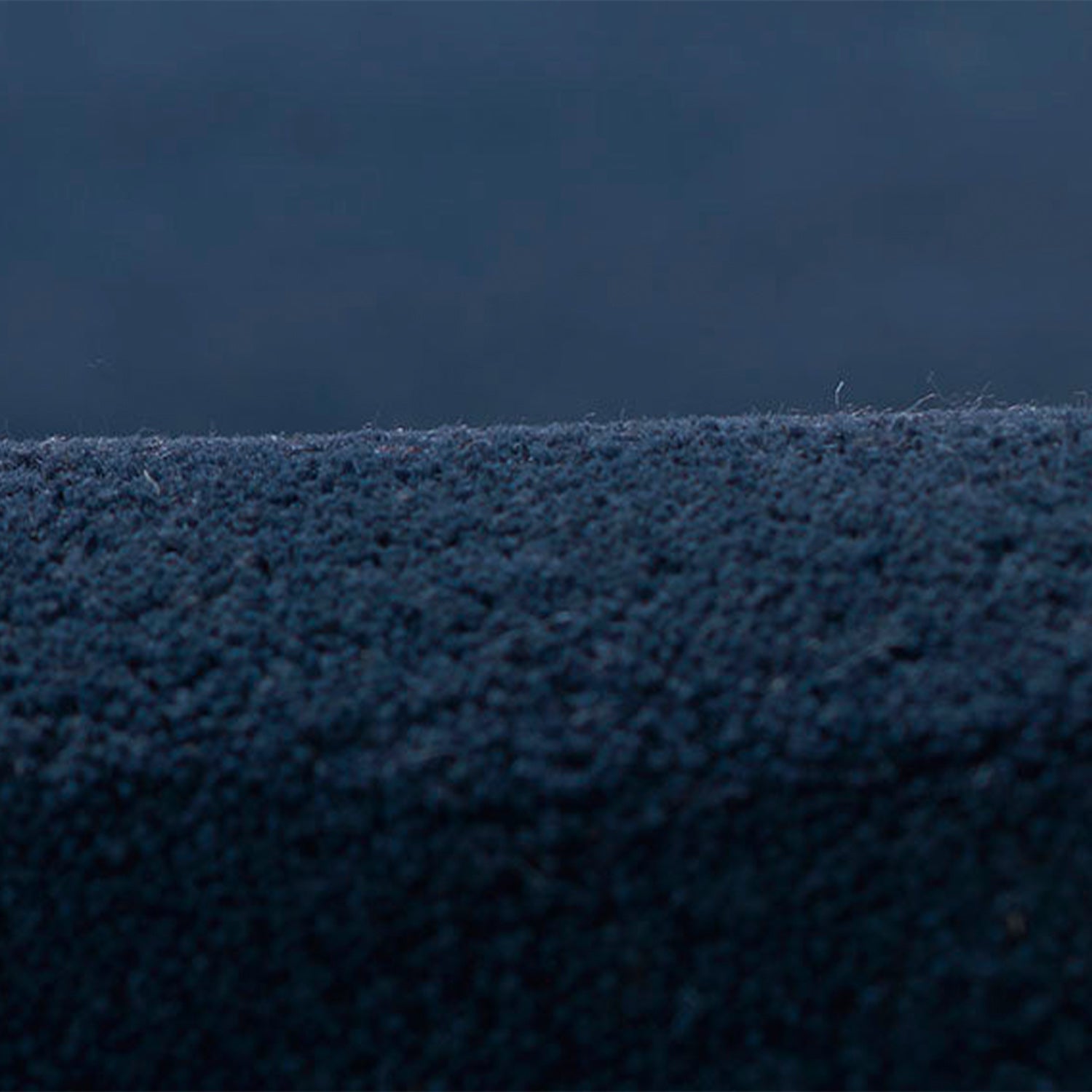 Tallulah-1 Navy Rug
